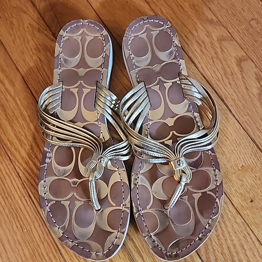 Coach Maria Metallic Gold Logo Print Thong Sandals - Gold